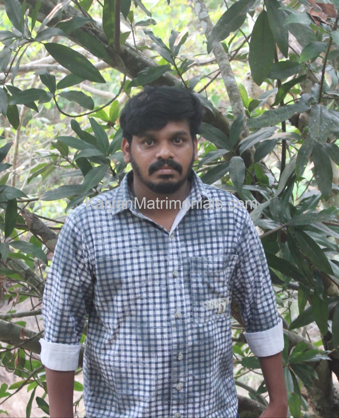 173115, JASRAJ ANN JOSE