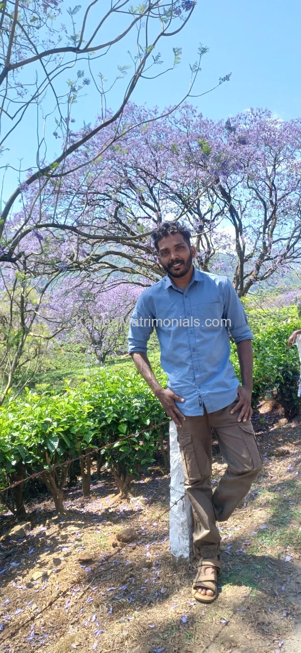 MB39598, JithinThankachan